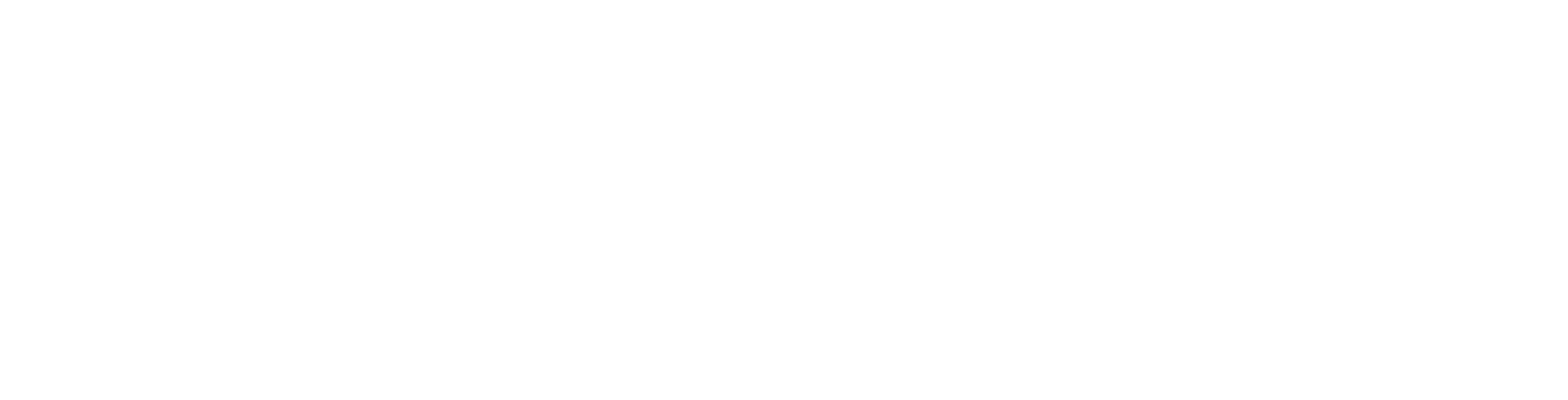 Saltrock Labs Logo